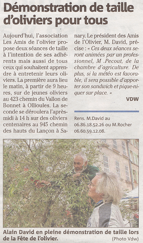 Dmonstration de taille d'olivier 212 fvrier 2014